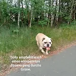Ferienzimmer Waldzauber Borkwalde