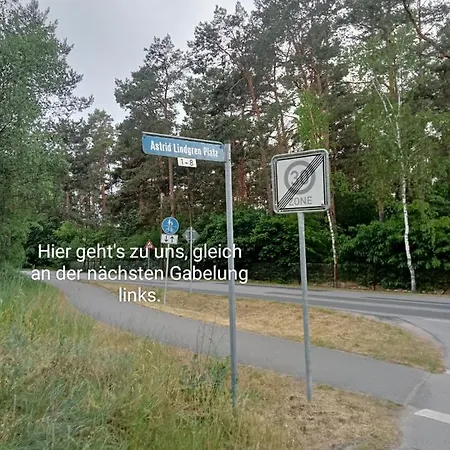 Waldzauber Borkwalde