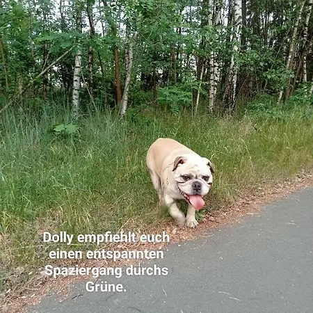 Ferienzimmer Waldzauber Borkwalde