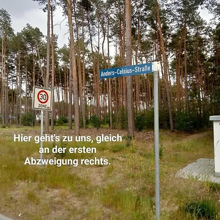 Waldzauber