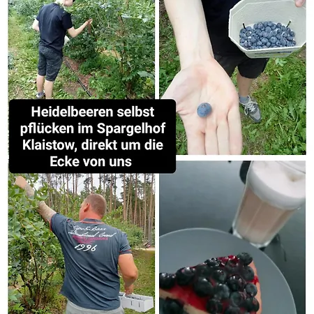 Ferienzimmer Waldzauber Διαμέρισμα *