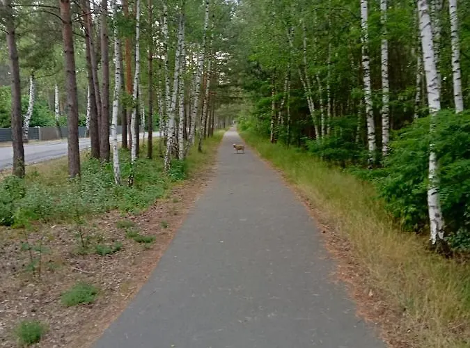 Apartment Ferienzimmer Waldzauber *