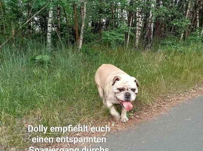 Ferienzimmer Waldzauber Borkwalde