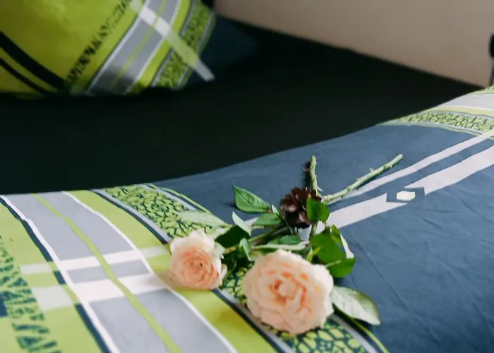 Apartman Ferienzimmer Waldzauber Borkwalde