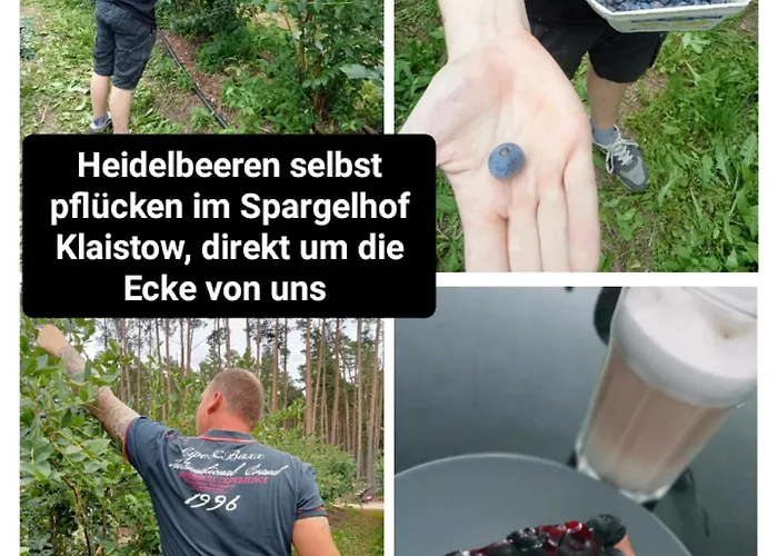 Ferienzimmer Waldzauber Apartamento *